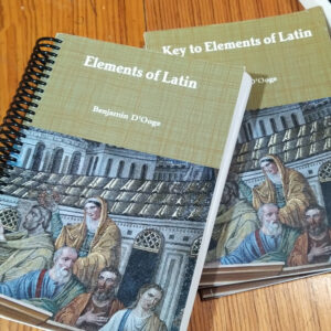 Elements of Latin Cover